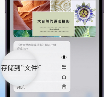 柳南apple维修中心分享iPhone文件应用中存储和找到下载文件