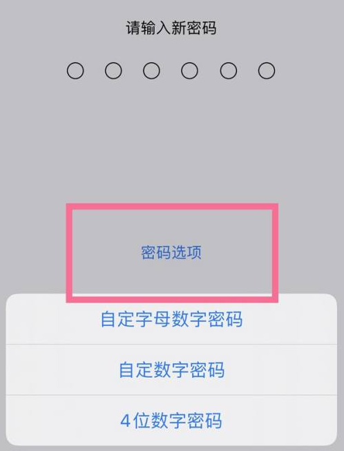 柳南苹果14维修分享iPhone 14plus设置密码的方法 