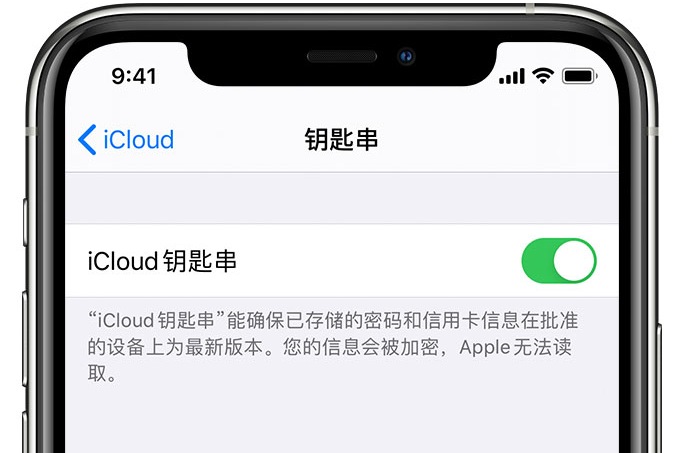 柳南苹果手机维修分享在 iPhone 上开启 iCloud 钥匙串之后会储存哪些信息 