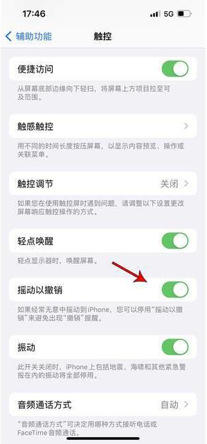 柳南苹果手机维修分享iPhone手机如何设置摇一摇删除文字 